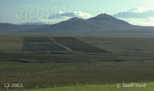 Wild flow moorland ploughed for forestry, Caithness, Scotland