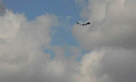 link to video of Lapwing performing aerial display